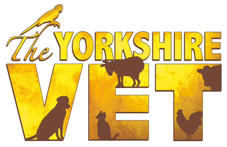 The Yorkshire Vet