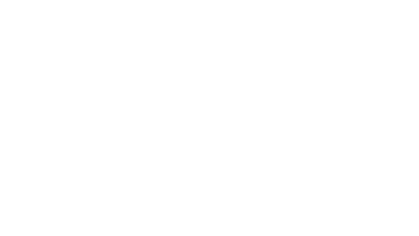 The T