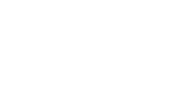 Film Detective